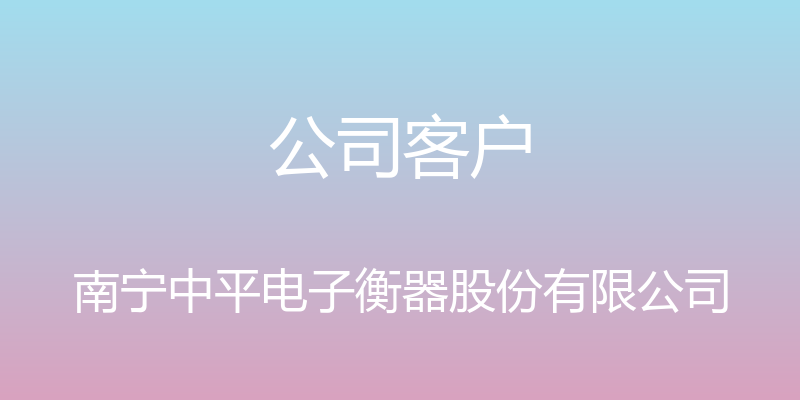 公司客户 - 南宁中平电子衡器股份有限公司