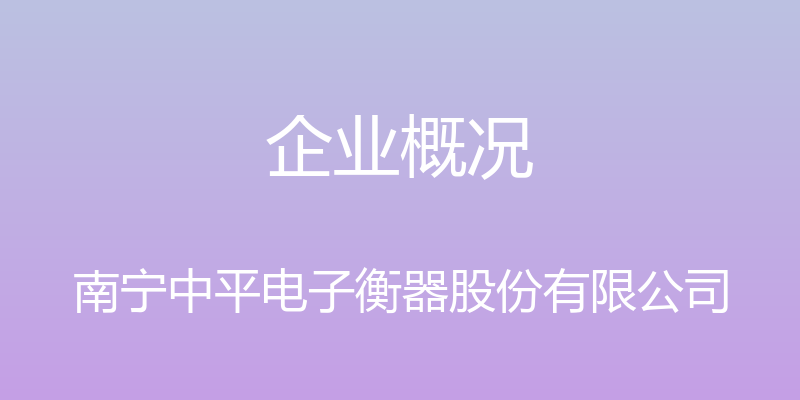 企业概况 - 南宁中平电子衡器股份有限公司